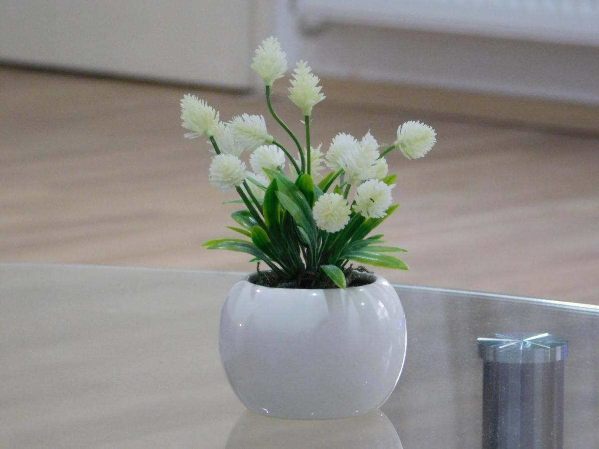 Apartments Mateo Zagreb Ngoại thất bức ảnh